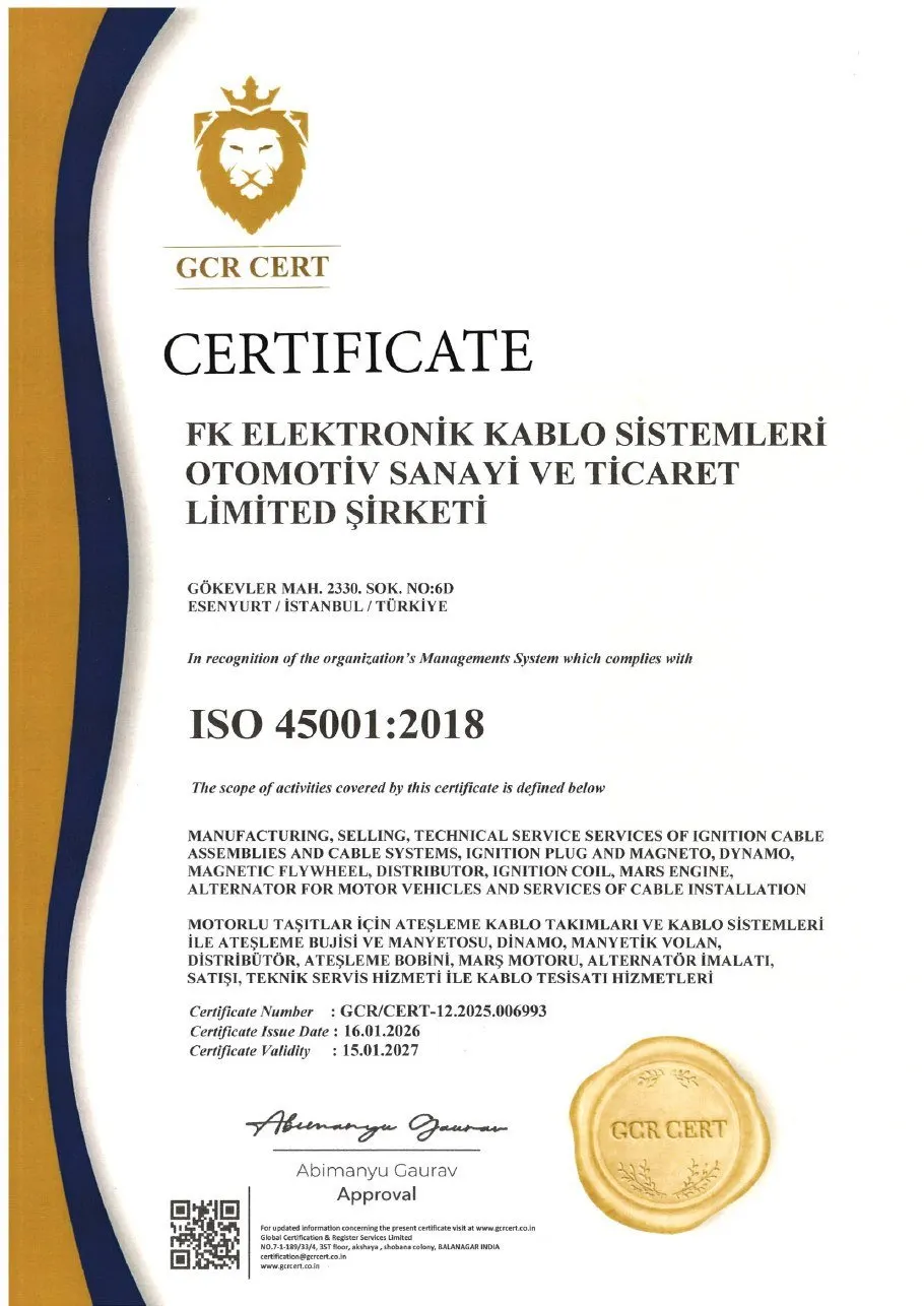 ISO 45001:2018 Occupational Health and Safety